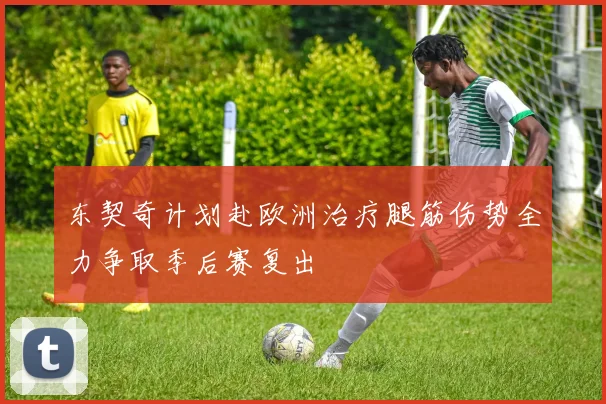 东契奇计划赴欧洲治疗腿筋伤势全力争取季后赛复出